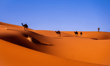Marrakech Excursions